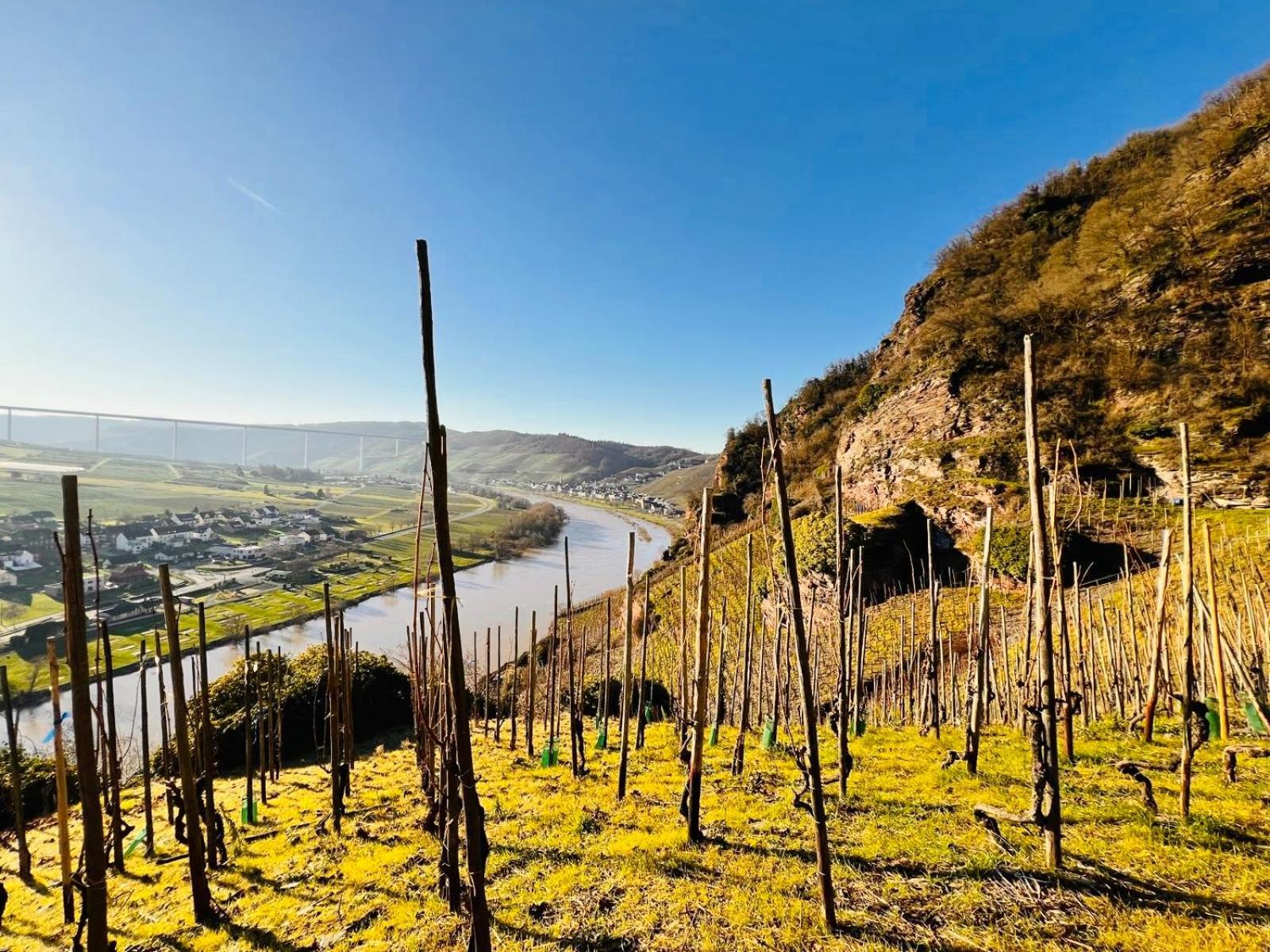 Gut Foersterlay - Exklusive Boutique Apartments Im Historischen Winzerhaus Direkt An Der Mosel Losnich Exterior photo