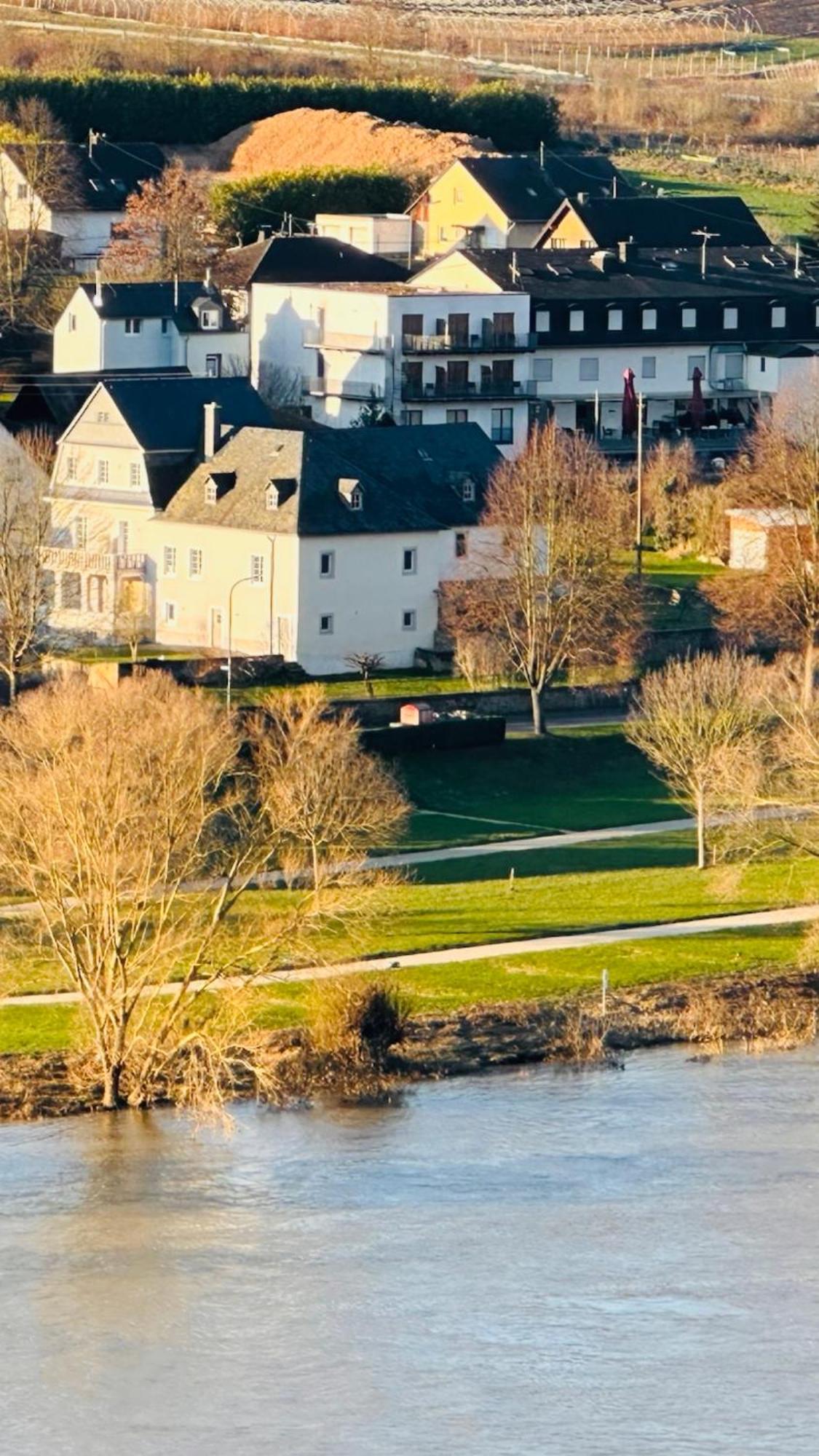 Gut Foersterlay - Exklusive Boutique Apartments Im Historischen Winzerhaus Direkt An Der Mosel Losnich Exterior photo